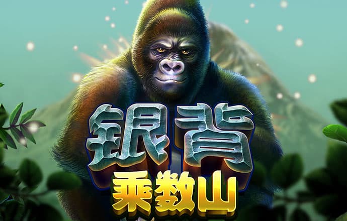 西班牙世界杯名单：罗德里、佩德里、亚马尔领衔，皇马无人入选